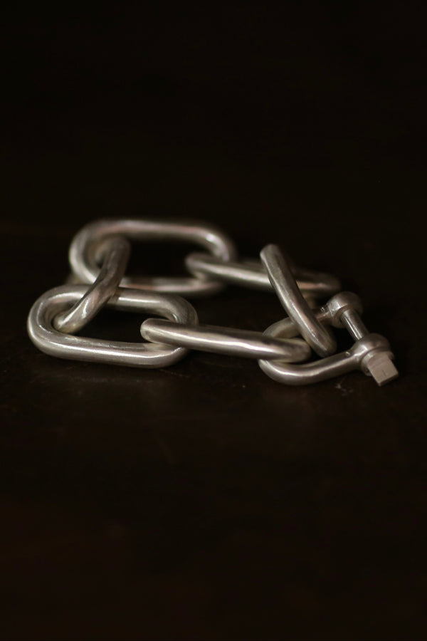 Parts of Four Charm Chain Bracelet (Medium Link) 818-6-MA PPOF51